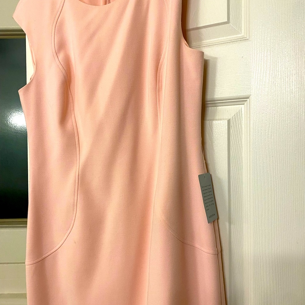 Size 12. Eliza J powder pink midi dress